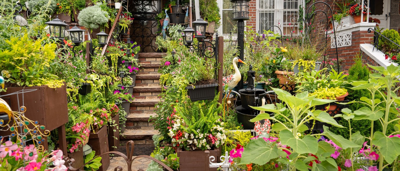 The Week in Brooklyn: August 3–9, 2026 | Brooklyn Bridge Parents