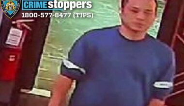 Gunman shoots up commercial establishment College Point Boulevard in Queensboro Hill: NYPD – QNS