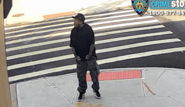 Gunman who opened fire, striking 7-year-old dog in Brooklyn sought by NYPD