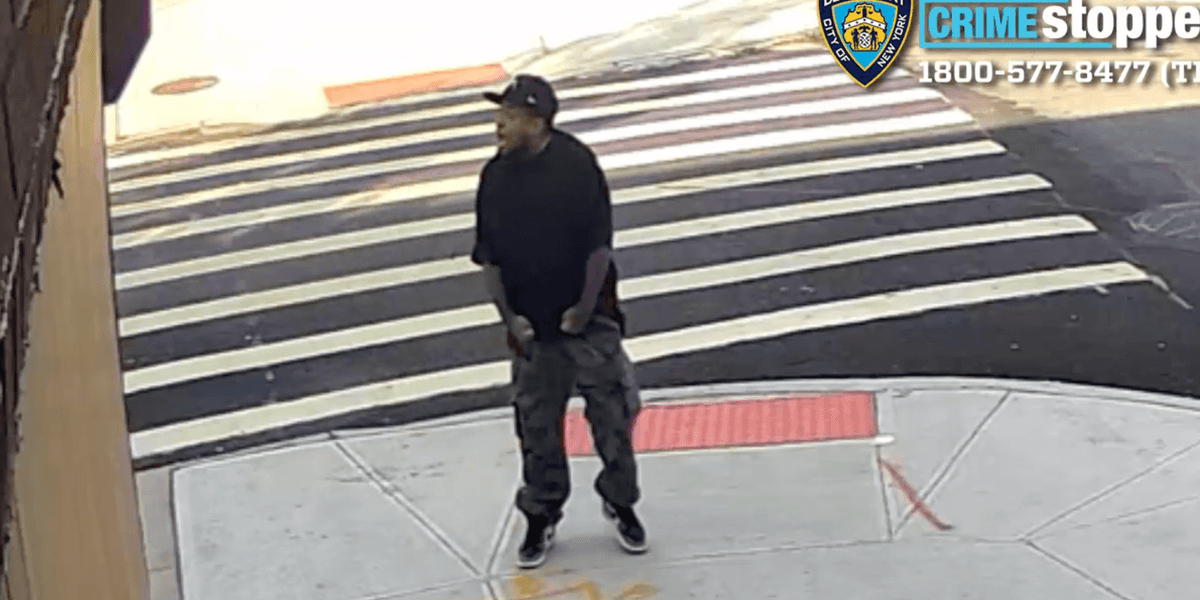 Gunman who opened fire, striking 7-year-old dog in Brooklyn sought by NYPD