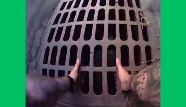 New York Officer Rescues a Dog from a Storm Drain, Despite Getting a Few Nips