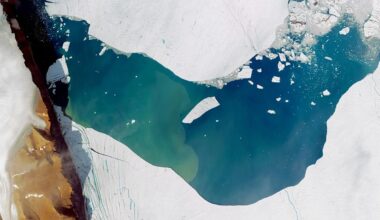 Large chunk of ice the size of Manhattan breaks away from glacier and forms icy island in Greenland