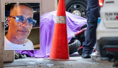 Driver stopped for turning without signaling in Bronx, then arrested for a murder earlier that day