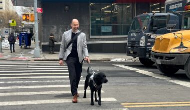 Blind CEO Is Raising His Guide Dog Differently With Manhattan as Their Training Ground