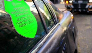Green stickers of shame are popping up on NYC streets to single out drivers who park like idiots