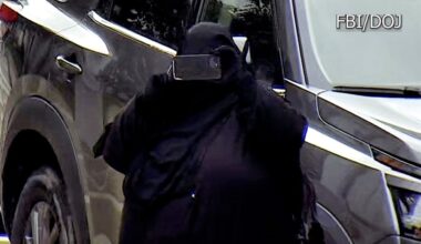 Woman arrested for allegedly plotting New York state Capitol attack