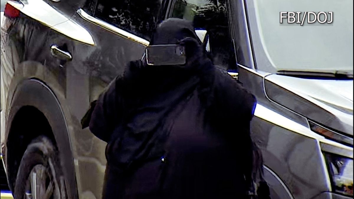 Woman arrested for allegedly plotting New York state Capitol attack
