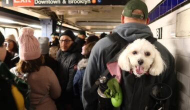 Dog duty: Pet waste will be composted in NYC parks