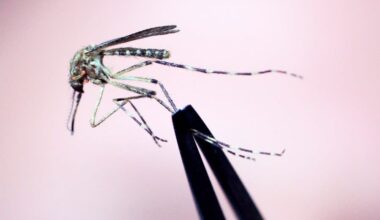NYC to spray Queens and Bronx to curb West Nile virus risk