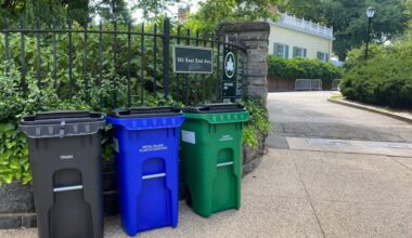 DSNY to issue fines for not using NYC bins: What to know