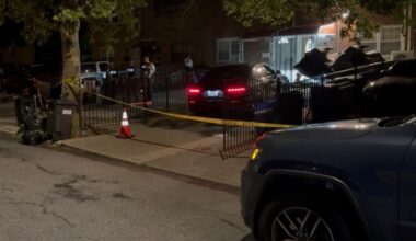 Bronx woman shot in her car while pulling into driveway: sources