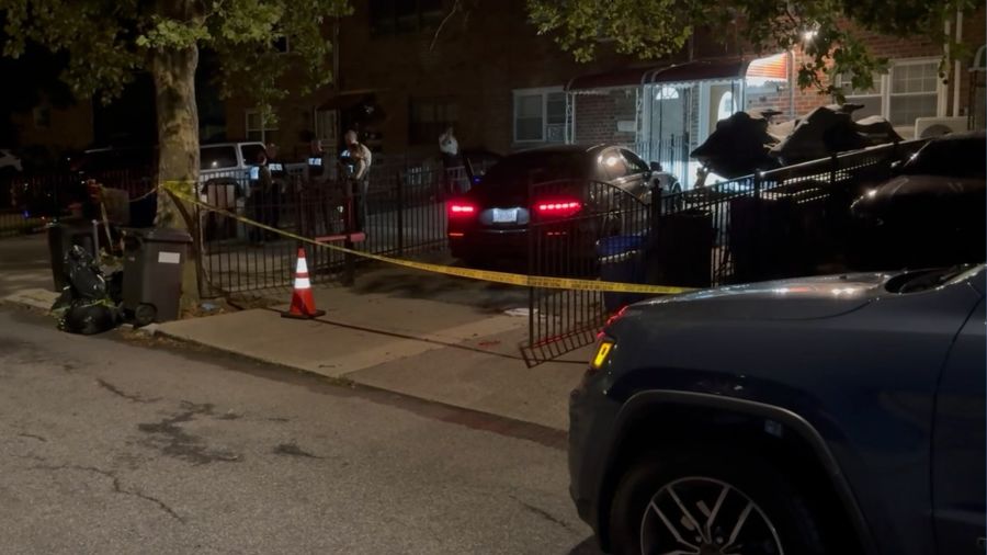 Bronx woman shot in her car while pulling into driveway: sources
