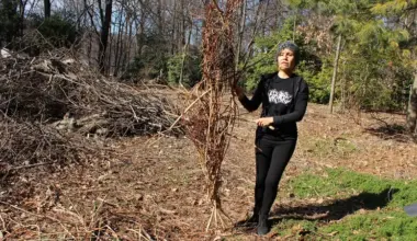York College Arts Gallery Presents Returning to a Womb, Ecological Becoming, the First Solo Exhibition by Queens Artist Elizabeth Velazquez - York College / City University of New York