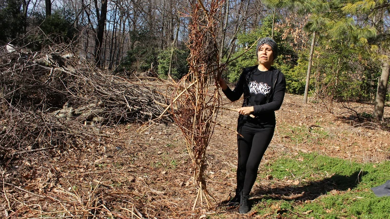 York College Arts Gallery Presents Returning to a Womb, Ecological Becoming, the First Solo Exhibition by Queens Artist Elizabeth Velazquez - York College / City University of New York