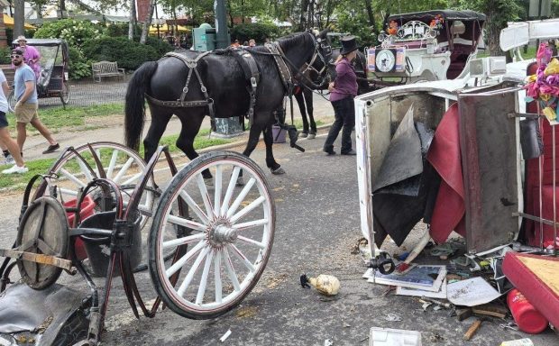 The aftermath of an out-of-control horse-drawn carriage is pictured in Central Park on Wednesday, June 17, 2026. (Obtained by Daily News)