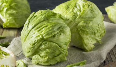 New Developments In Cyclospora, Salmonella Outbreaks: What To Know In NY