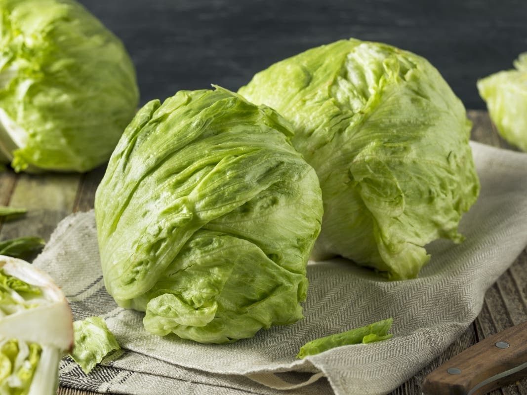 New Developments In Cyclospora, Salmonella Outbreaks: What To Know In NY