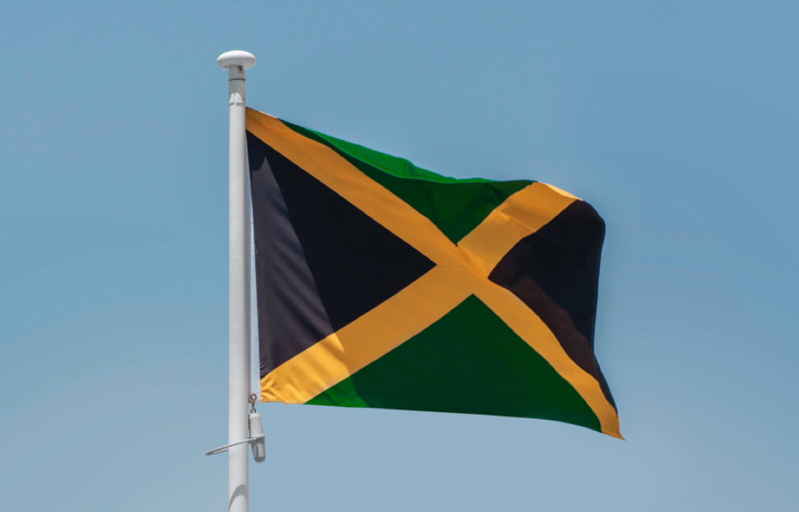 Brooklyn Will Host NYC's 1st Parade Dedicated To Jamaica -
