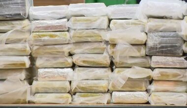 $10 million worth of cocaine confiscated in NYPD's largest seizure in at least a decade, officials say