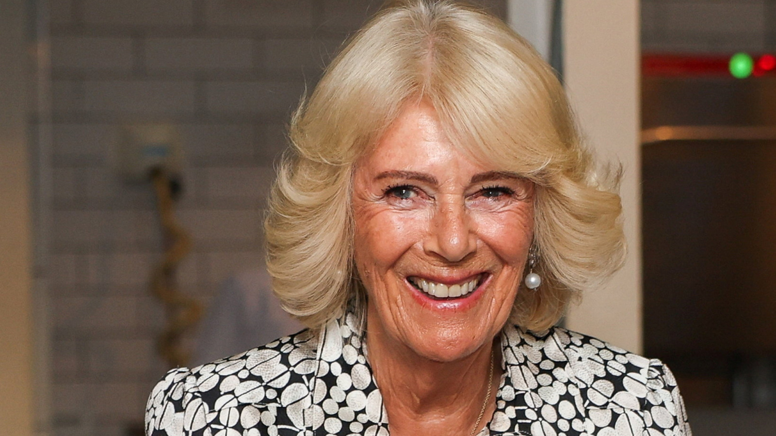 Queen Camilla's Hairdresser Did One Color Trick That's Perfect Advice For Older Women