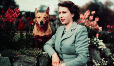 Queen Elizabeth's Style Evolution, In Photos