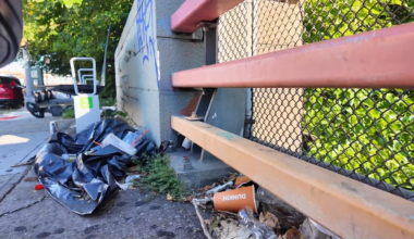 News 12 | Bronx | Pelham Bay Little League President Calls For Action As Qualityoflife Issues Escalate Around Ballfields