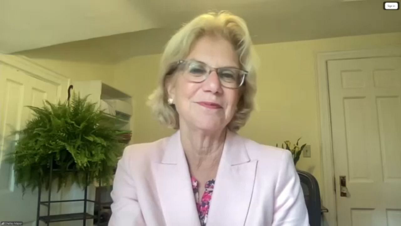 Mayer on role as Democratic Senate Campaign Committee chair