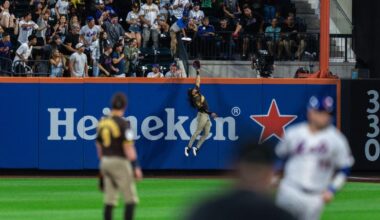 Fernando Tatis Jr. puts on a spectacular all-around show as Padres cool off Mets