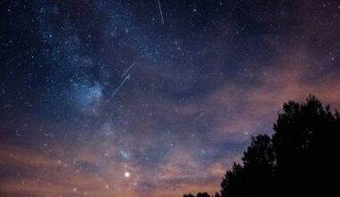 The ‘best meteor shower in years’ peaks this week: Where to watch a dazzling celestial event near NYC with up to 100 shooting stars per hour