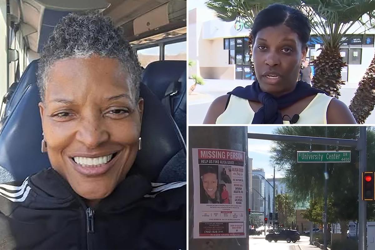 Family of missing NYC grandma Alisa Goods forced to check morgues