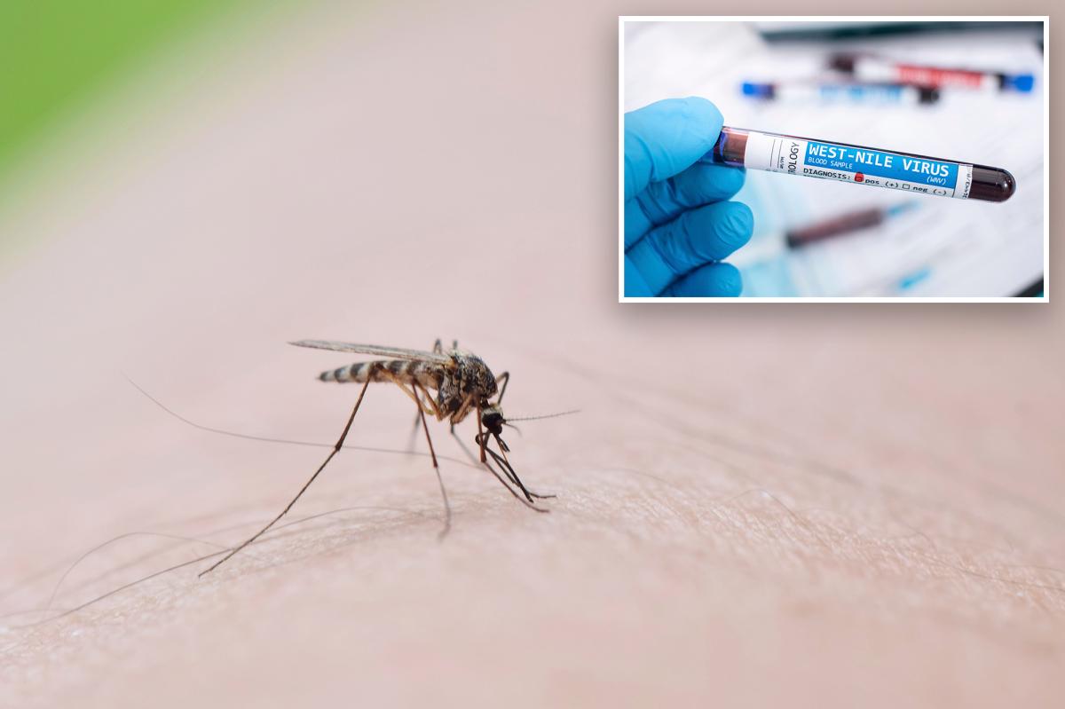 Number of NYC mosquito pools testing positive for dangerous West Nile virus has doubled since last year: health officials