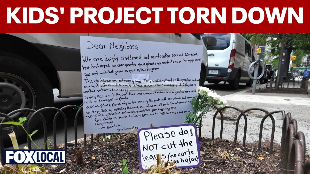 Kids' corn project chopped down on Upper East Side