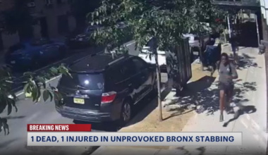 News 12 | Bronx | Man Stabbed To Death Another Wounded During Brazen Attack In Morris Heights
