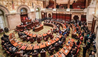N.Y. Senate leads Assembly on voting on environmental bills