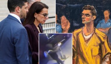 Luigi Mangione's guilty plea triggers double jeopardy, lawyers argue