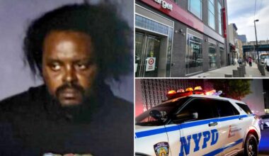 NYC thief with 150 busts and taste for Target candles arrested again, but quickly freed