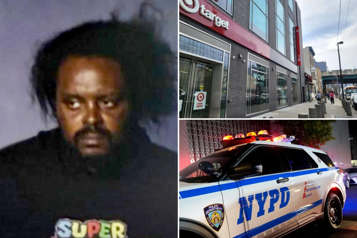 NYC thief with 150 busts and taste for Target candles arrested again, but quickly freed