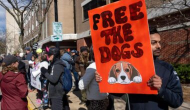 New Yorkers taking stand against cruel animal testing with march across Empire State