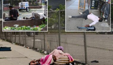Almost half of NYC homeless deaths tied to drug overdoses or alcohol abuse: study
