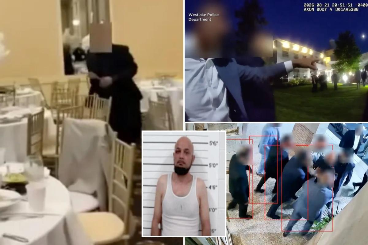 Ohio wedding descends into chaos after brothers attack partier in Westlake