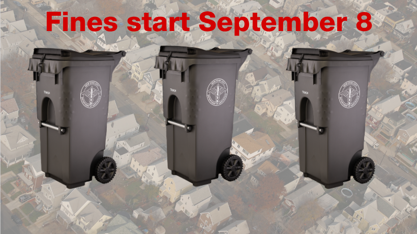 Three gray official NYC Trash Bins lined up and ready for collection. Fines start September 8.