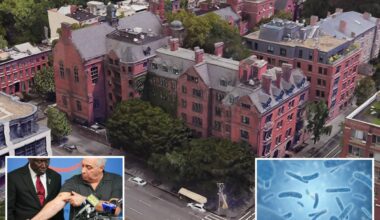 Legionella bacteria found in posh High Line Hotel as operator allegedly muzzles staff from warning guests