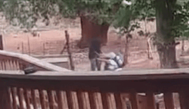 a gif shows the moments of an attacker trying to drag a woman by the hair