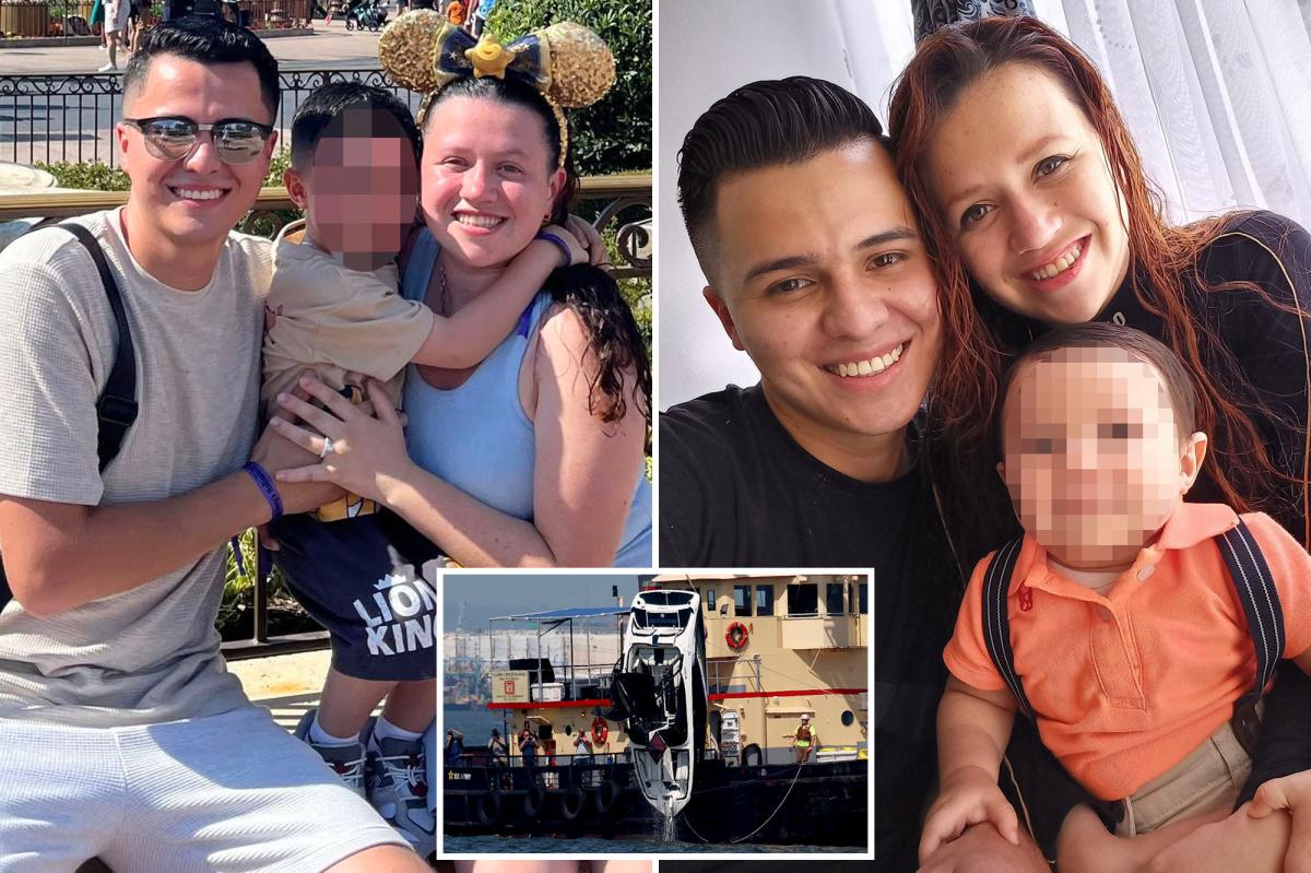 Heartbreaking photos show mom who died alongside infant in NYC boat crash as GoFundMe launched in support of husband