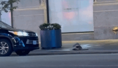 Mystery trio in headlamps and overalls emerges from Manhattan manhole, prompting NYPD probe