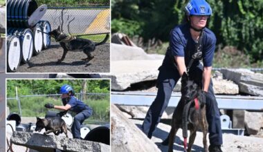 NYPD canines with touching 9/11 tie train for new elite mission