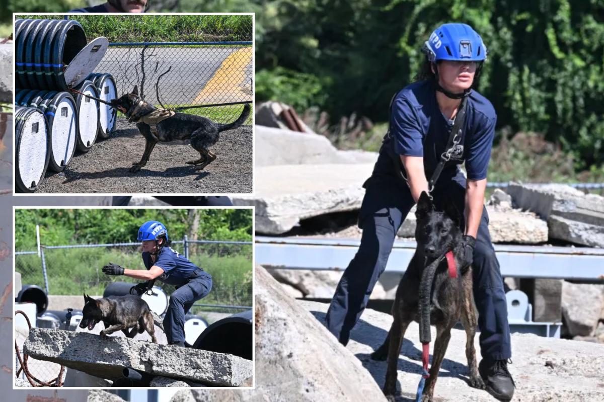 NYPD canines with touching 9/11 tie train for new elite mission