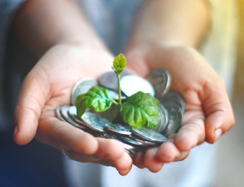 Businesses offered personalized sustainability tips