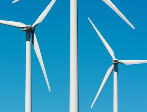 Energy utilities look to develop green power plants