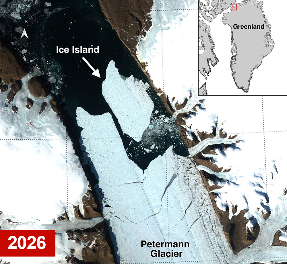 Satellite image of Petermann Glacier in 2026, showing an ice island breaking away.